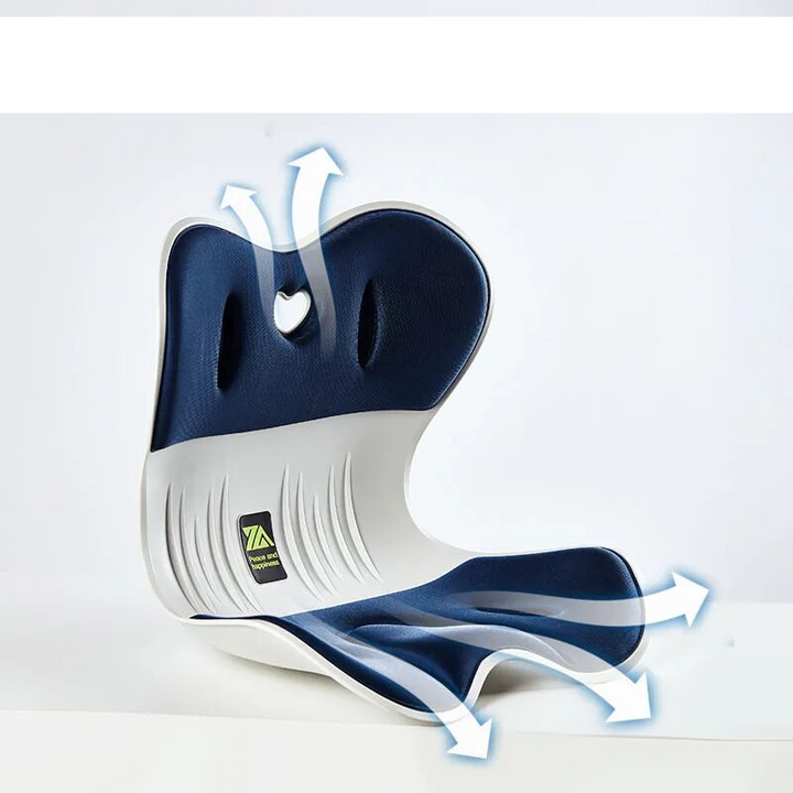 Lisslune | Back Support Memory Foam Seat Cushion