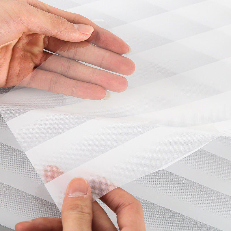 Lisslune | Artificial Blinds Disposable Perspective Glass Film (2 Sheets)