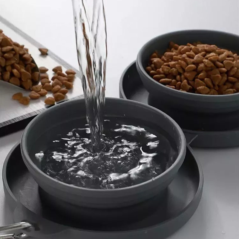 Lisslune | Pawfun Travel Dog Dinner Set