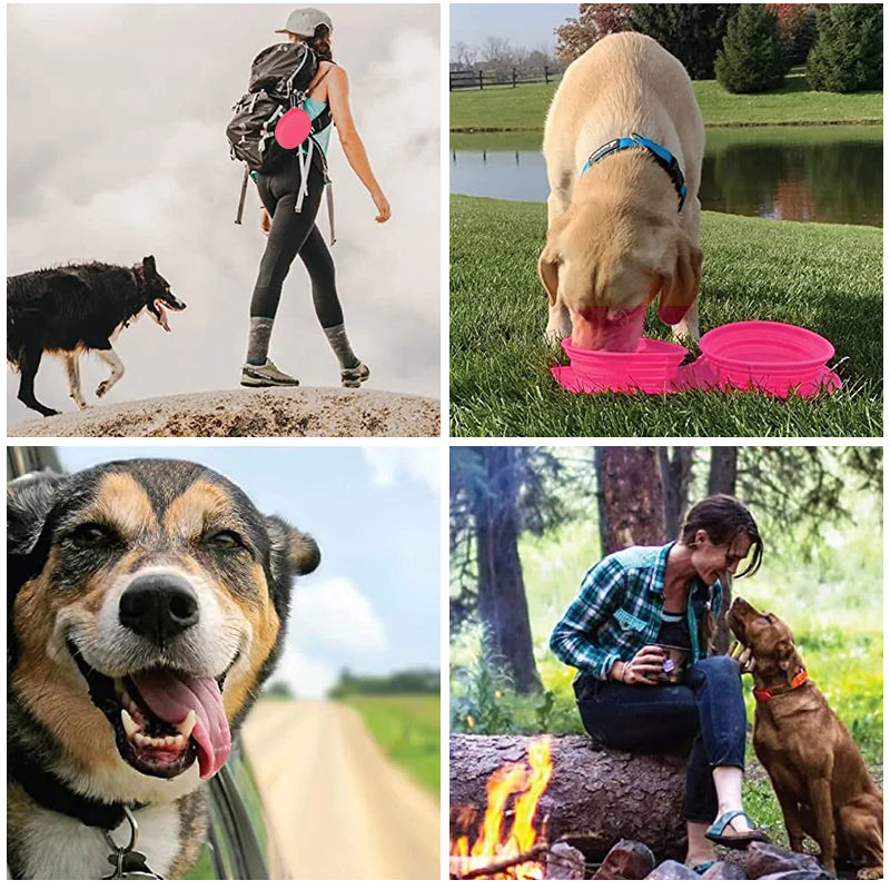 Lisslune | Pawfun Travel Dog Dinner Set