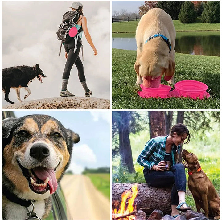 Lisslune | Pawfun Travel Dog Dinner Set
