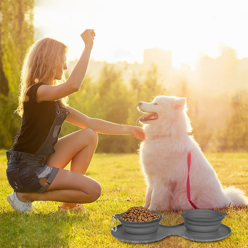 Lisslune | Pawfun Travel Dog Dinner Set