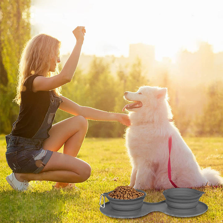 Lisslune | Pawfun Travel Dog Dinner Set