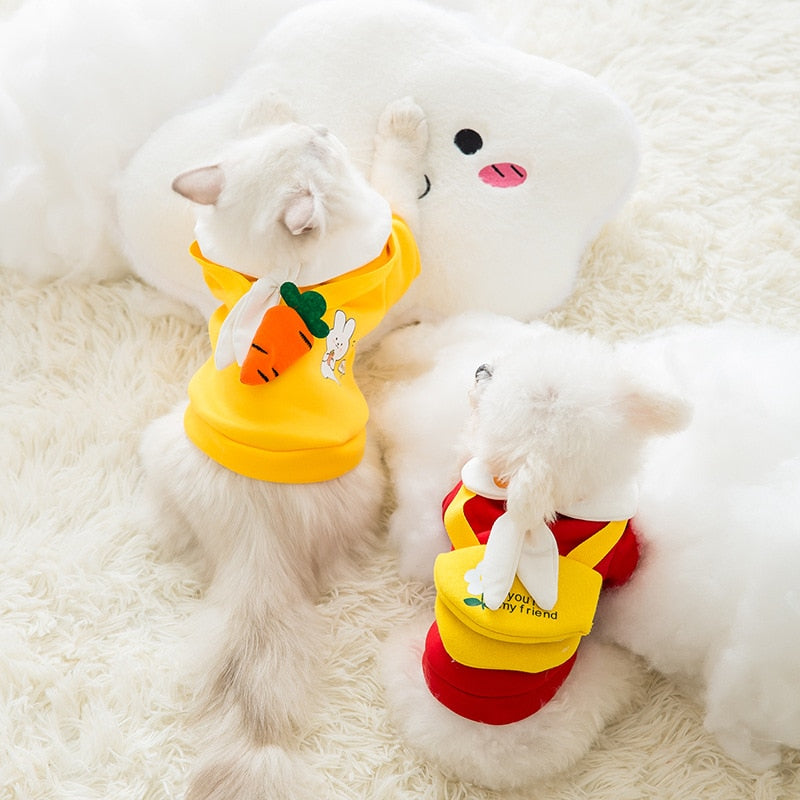 Lisslune | Satchel pet clothes