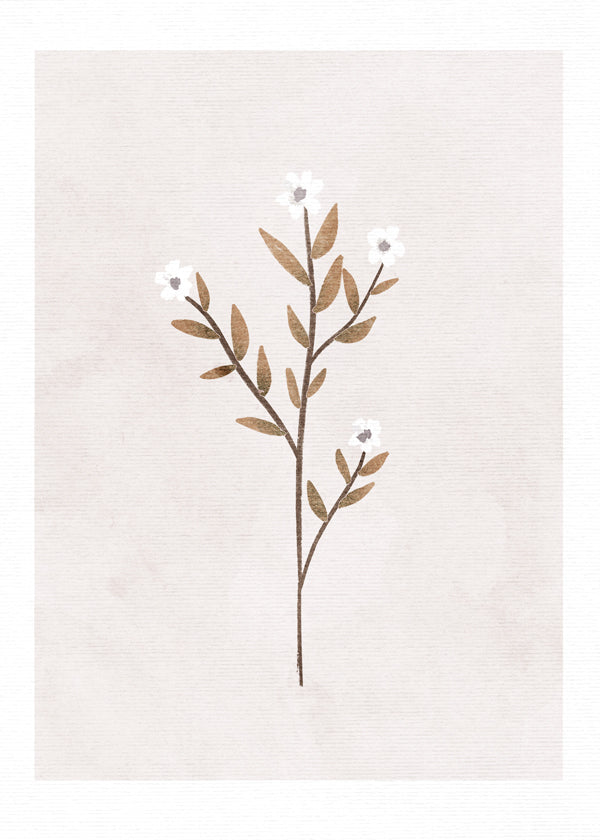 Lisslune | Forget-me-not