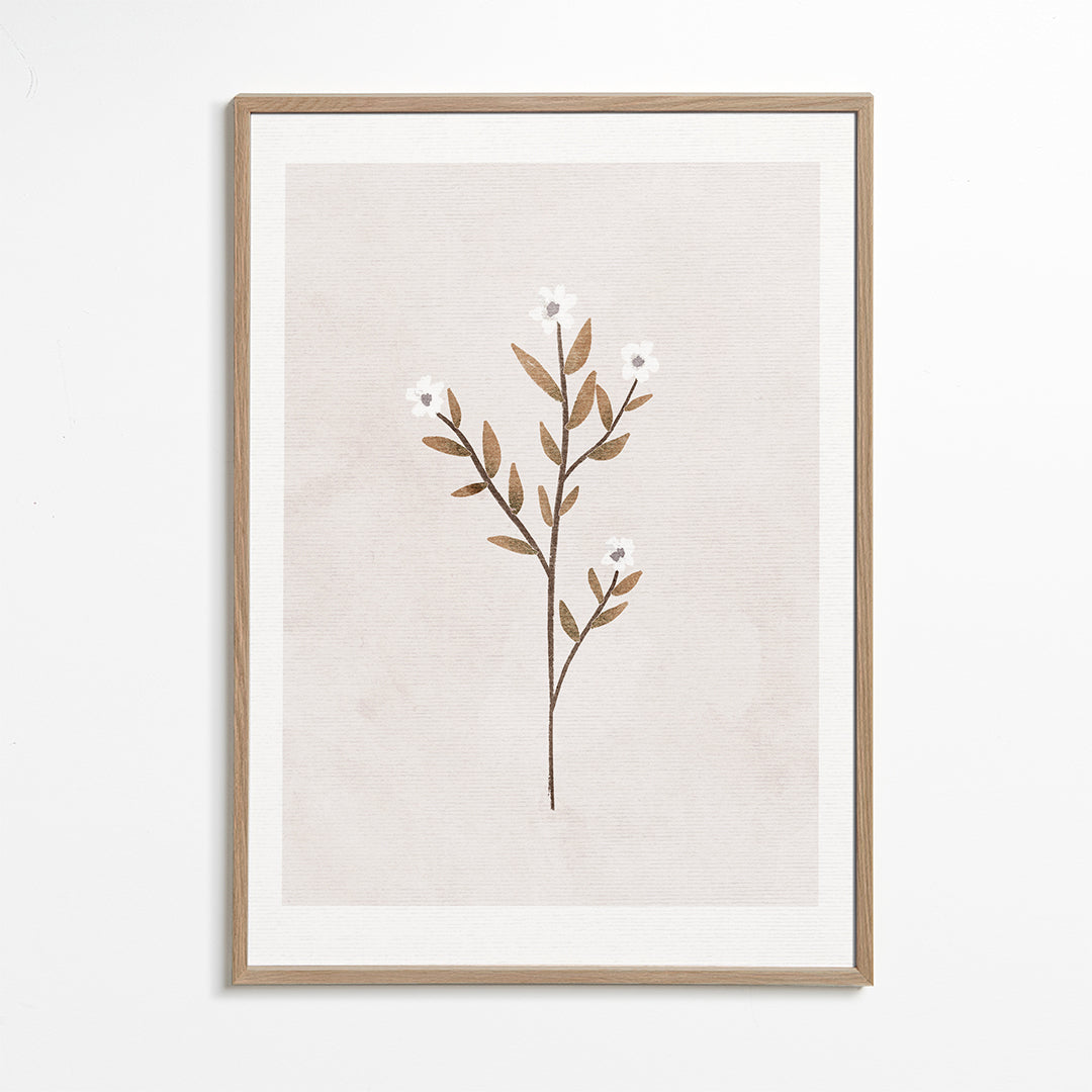 Lisslune | Forget-me-not