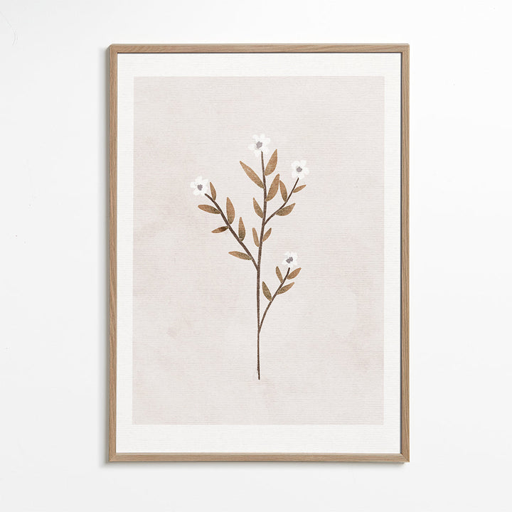 Lisslune | Forget-me-not