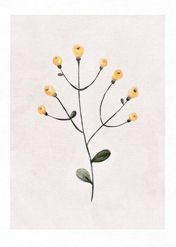 Lisslune | Yellow gift