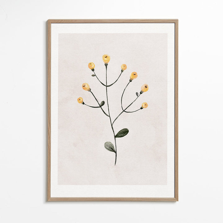 Lisslune | Yellow gift