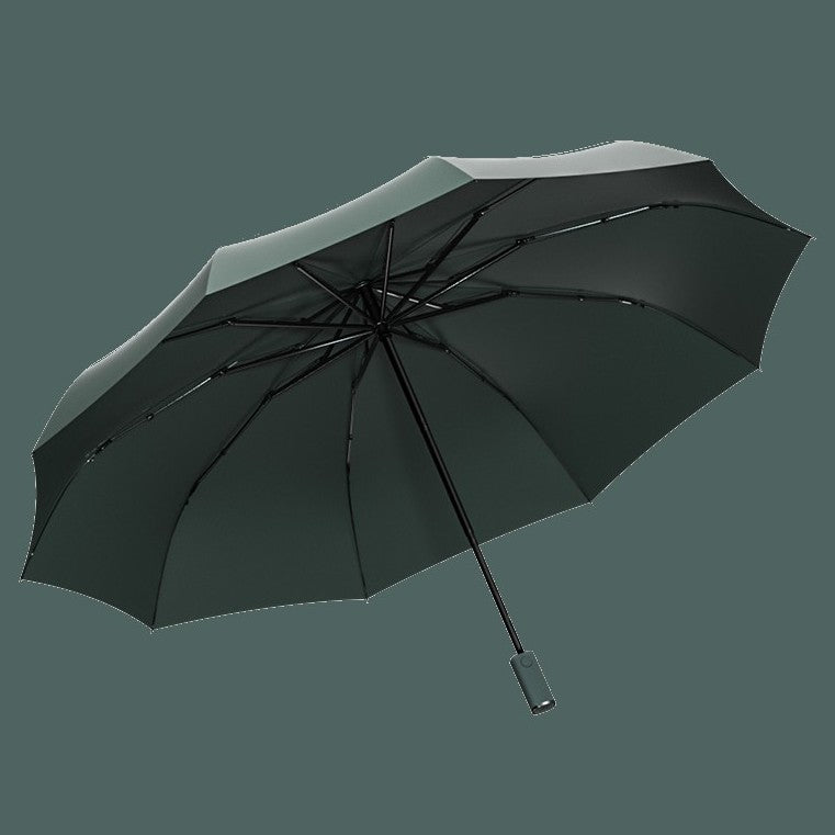 Lisslune | Automatic Umbrella, with Built-in LED Lighting, 100-Day Long Standby & 10 Ribs, for Heavy Rain, Night, Outdoor & More