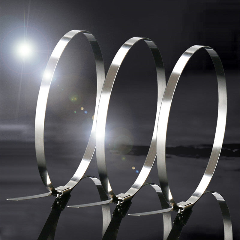 Lisslune | Multi-Purpose Stainless Steel Self-Locking Cable TiesÔºå for Wrapping, Fence, Outdoor, and Canopy (100pcs)