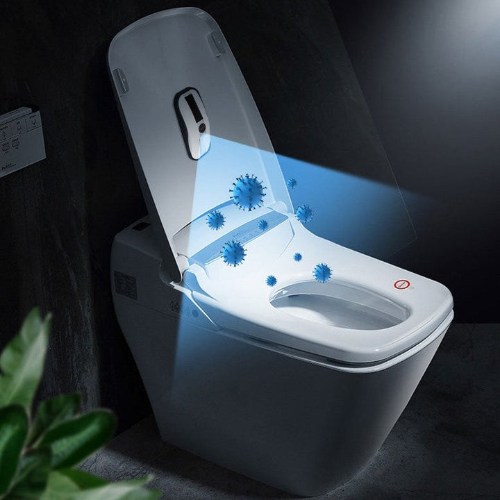 Lisslune | Portable Toilet UV Sterilizer, Powered
