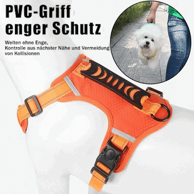 Lisslune | No Pull Dog Harness for Pets