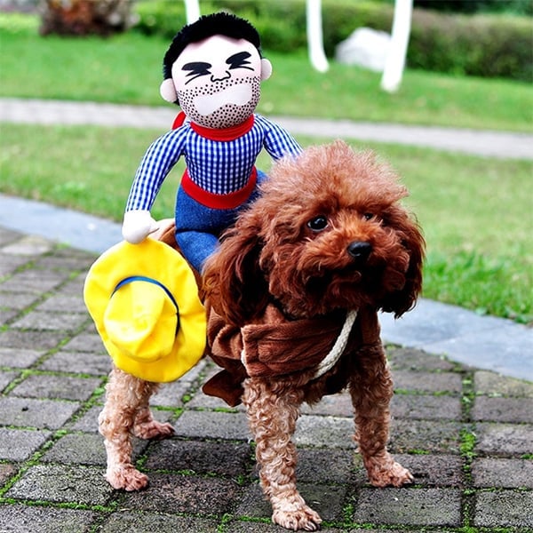 Lisslune | The Cowboy Rider Dog Costume