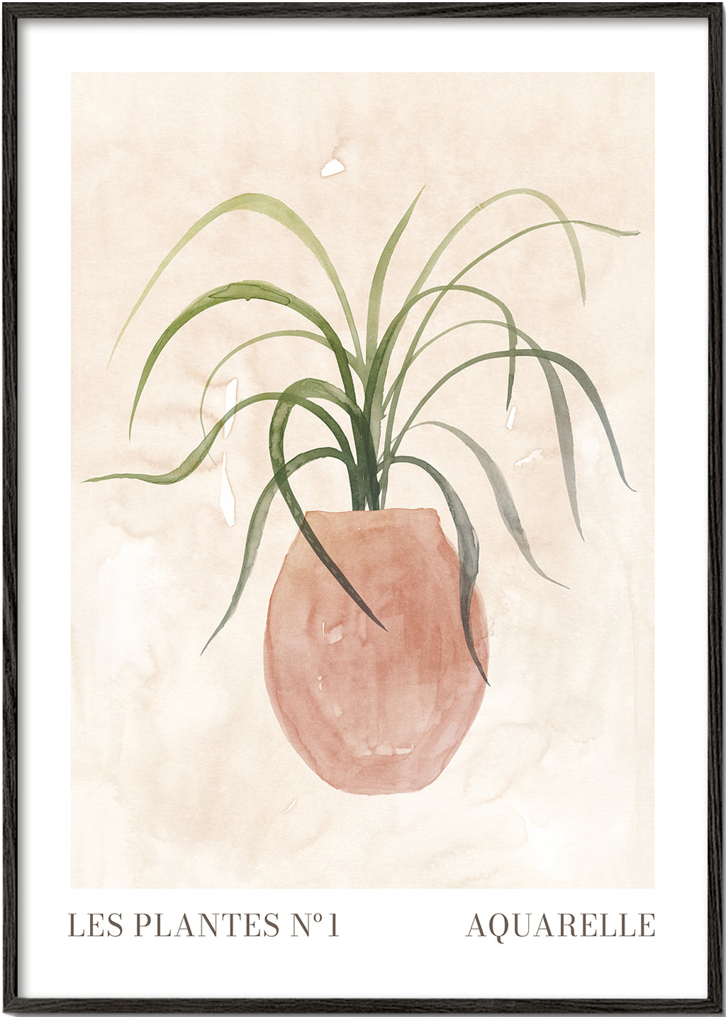 Lisslune | Plants N°1