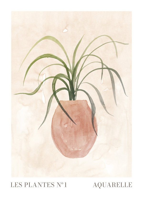 Lisslune | Plants N°1