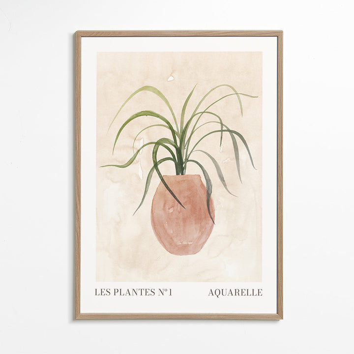 Lisslune | Plants N°1