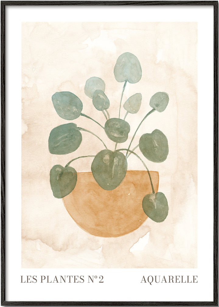 Lisslune | The Plants No. 2