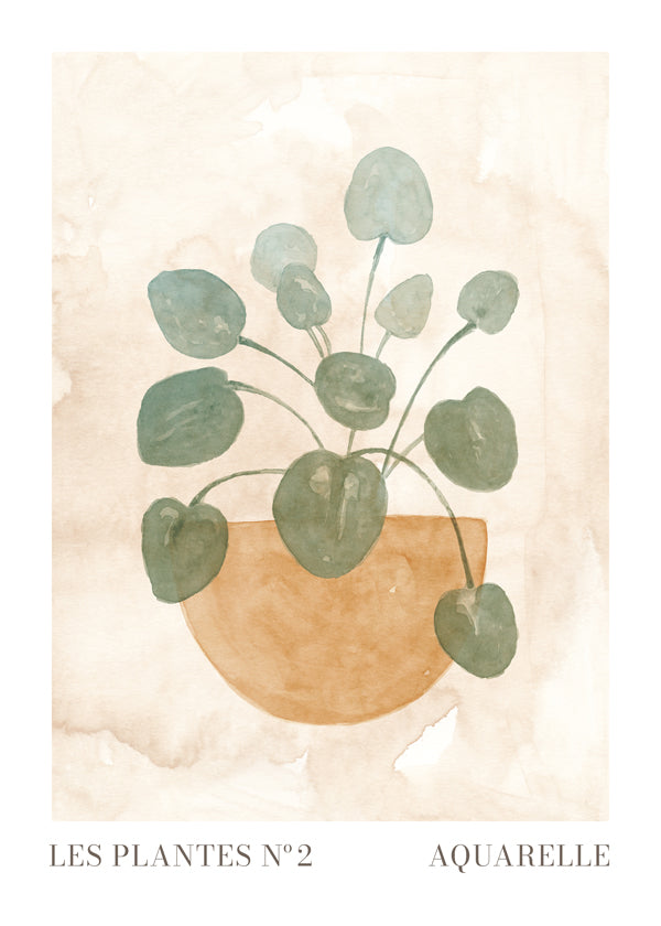 Lisslune | The Plants No. 2