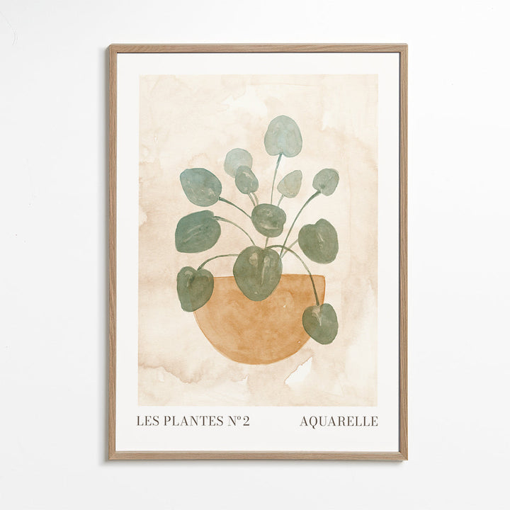 Lisslune | The Plants No. 2