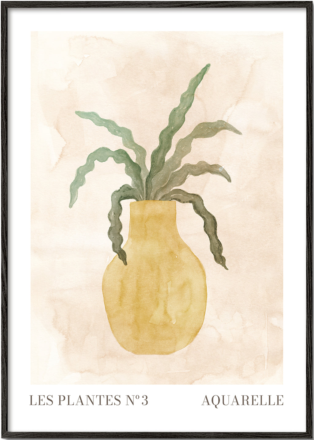 Lisslune | The Plants N°3