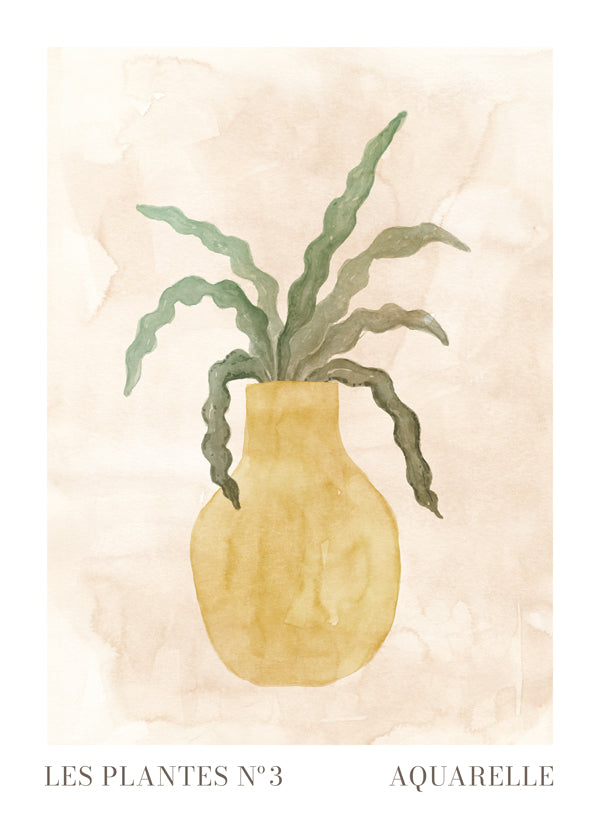 Lisslune | The Plants N°3