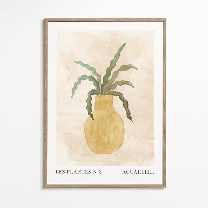 Lisslune | The Plants N°3
