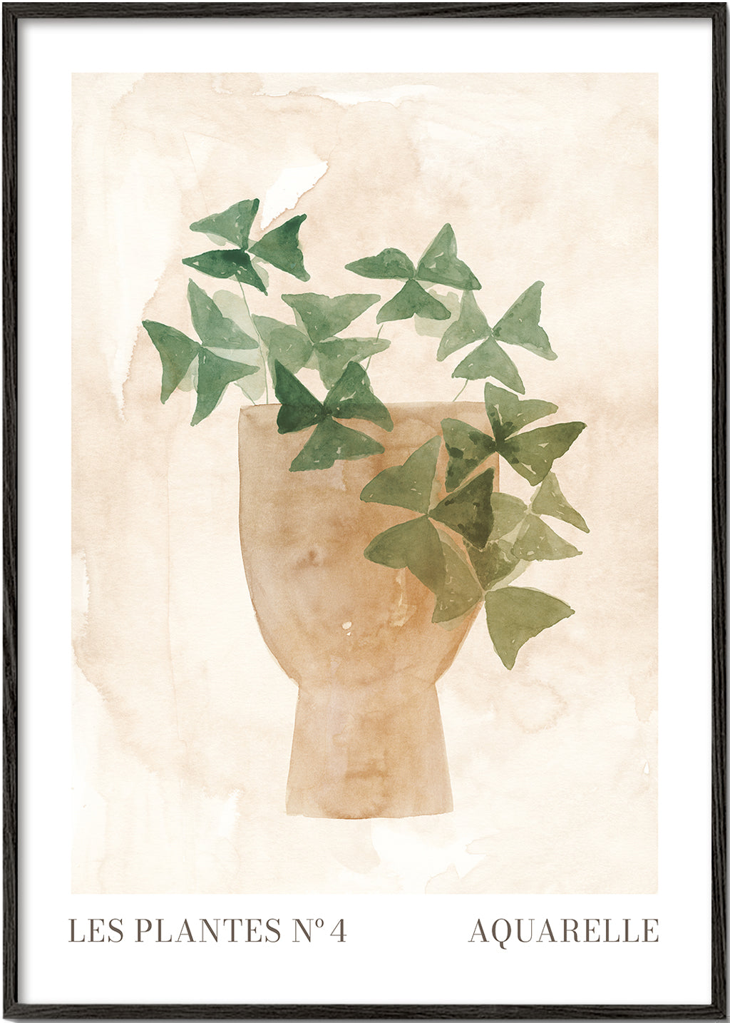 Lisslune | Plant N°4