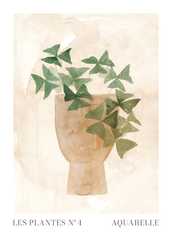 Lisslune | Plant N°4