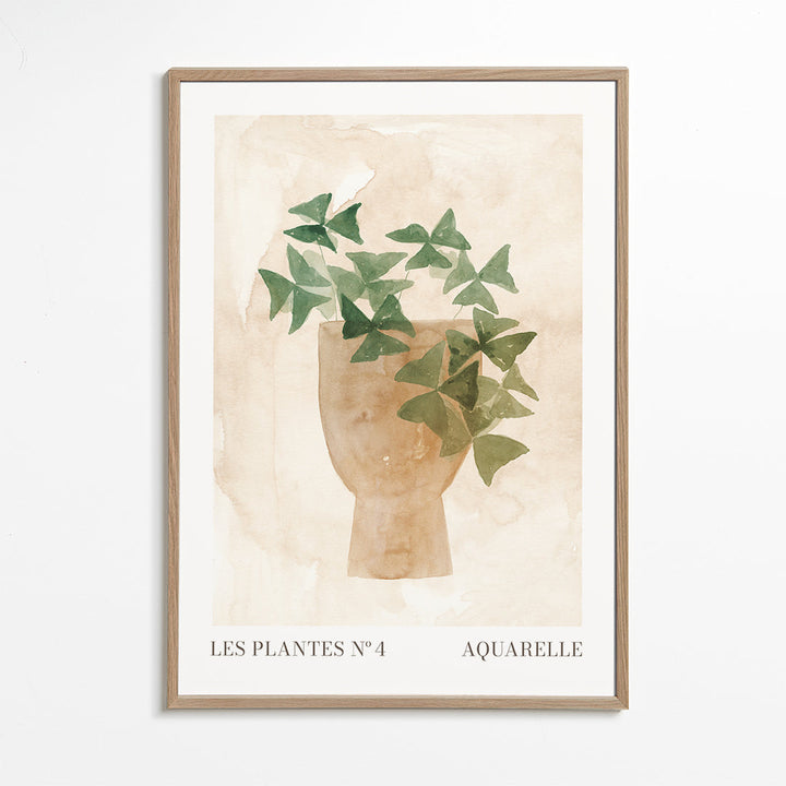 Lisslune | Plant N°4
