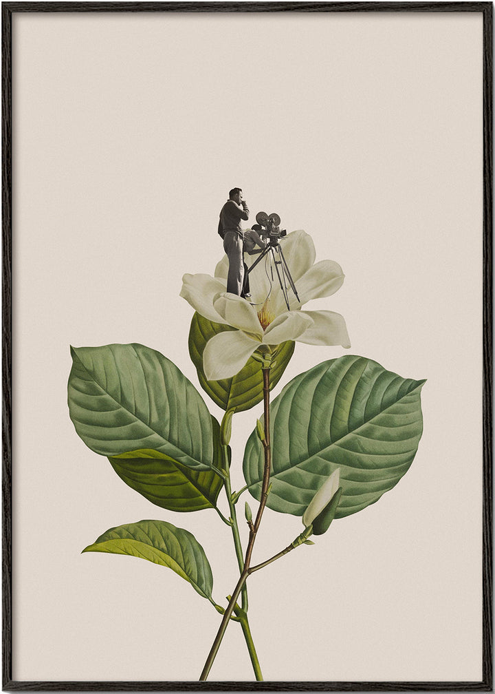 Lisslune | Botanical Vintage-Photographer