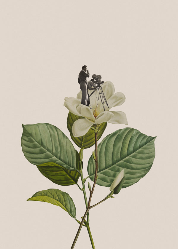 Lisslune | Botanical Vintage-Photographer