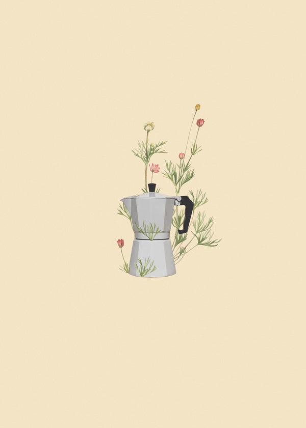 Lisslune | Floral Moka Express