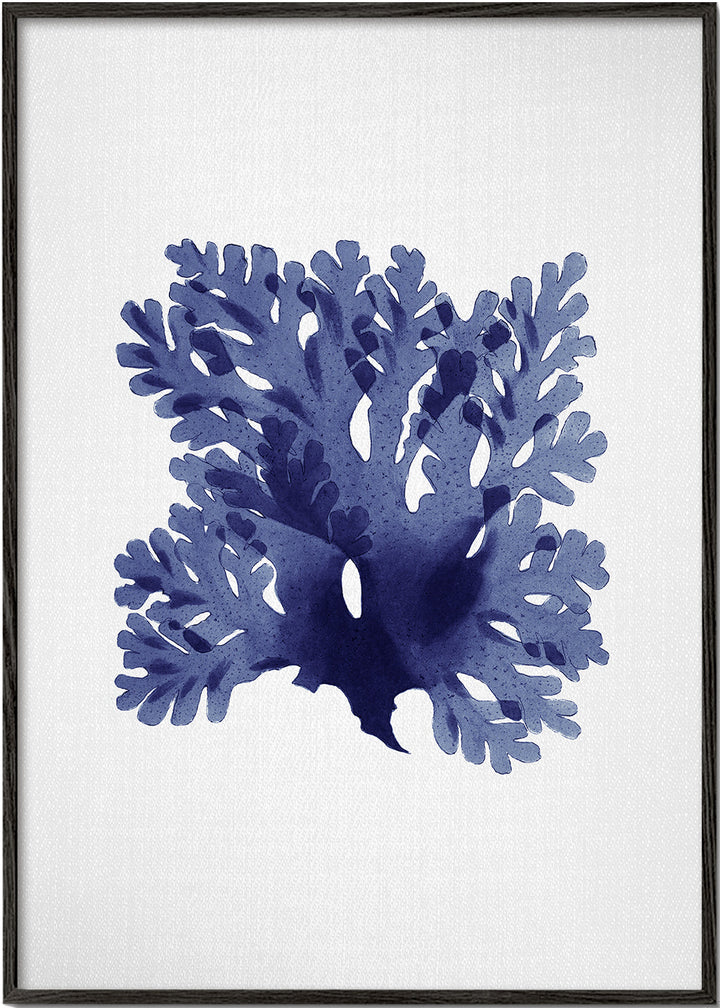 Lisslune | Tongs 1