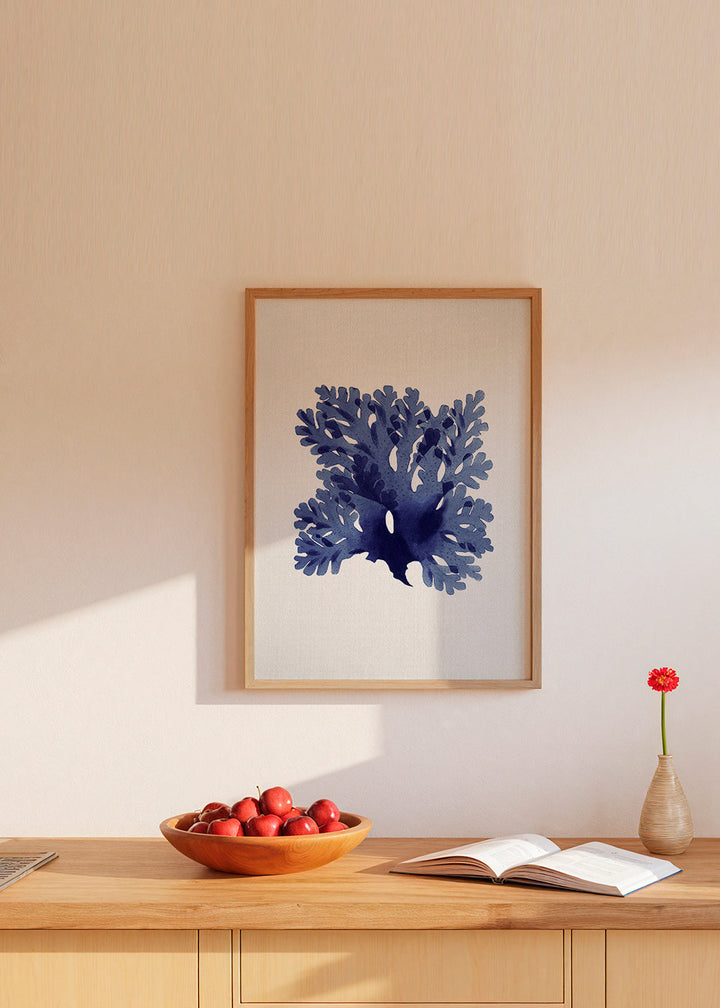 Lisslune | Tongs 1
