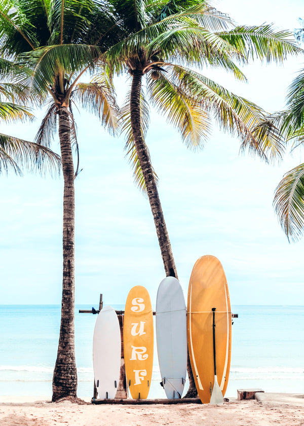 Lisslune | Choose surfboard