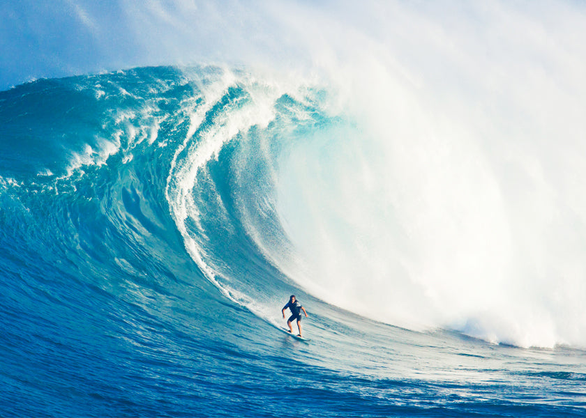 Lisslune | Wild Surf