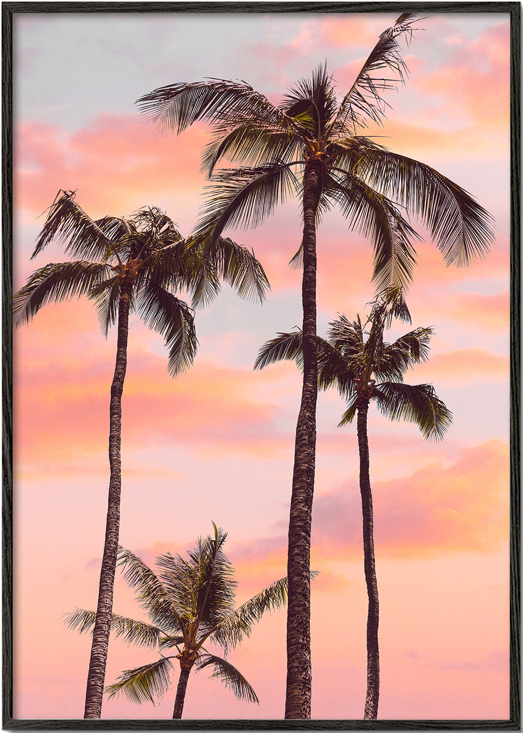 Lisslune | Sunset Palm Trees