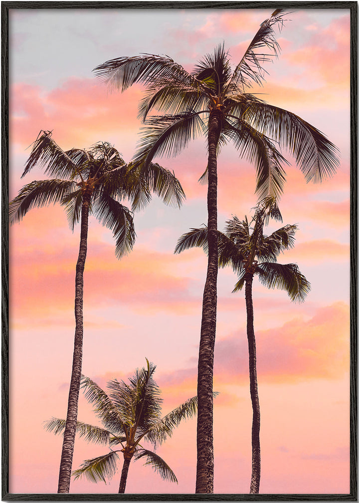 Lisslune | Sunset Palm Trees