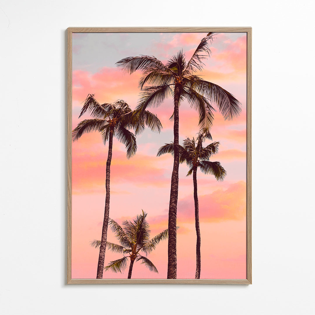 Lisslune | Sunset Palm Trees