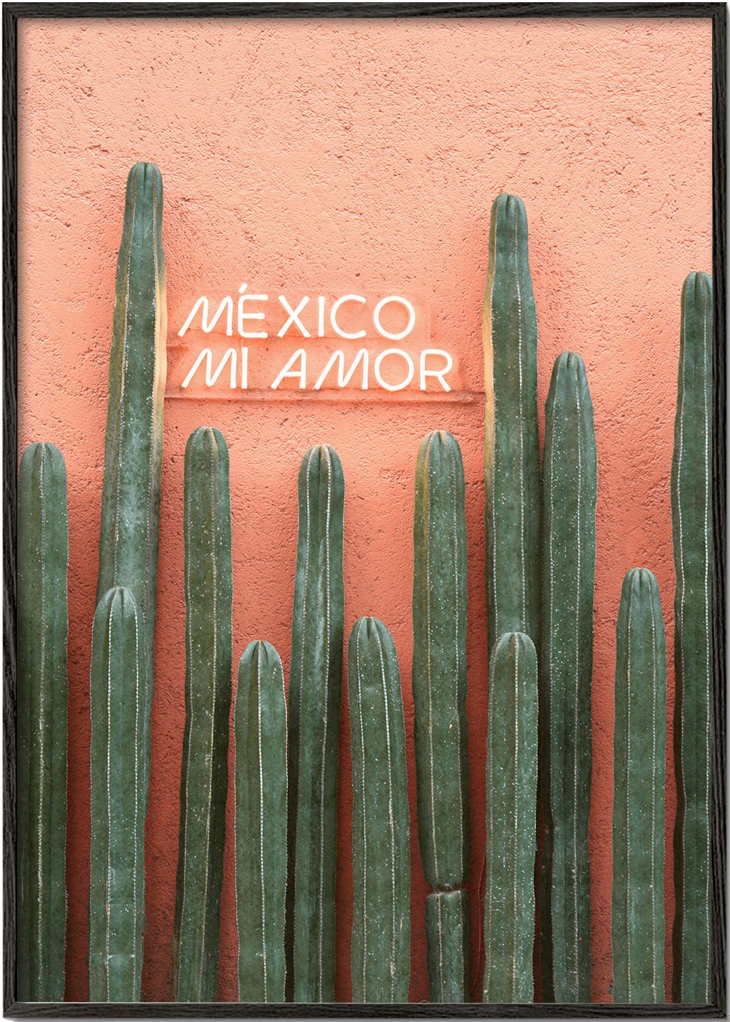 Lisslune | Mexico My Love