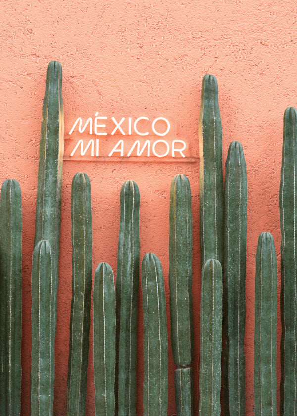 Lisslune | Mexico My Love