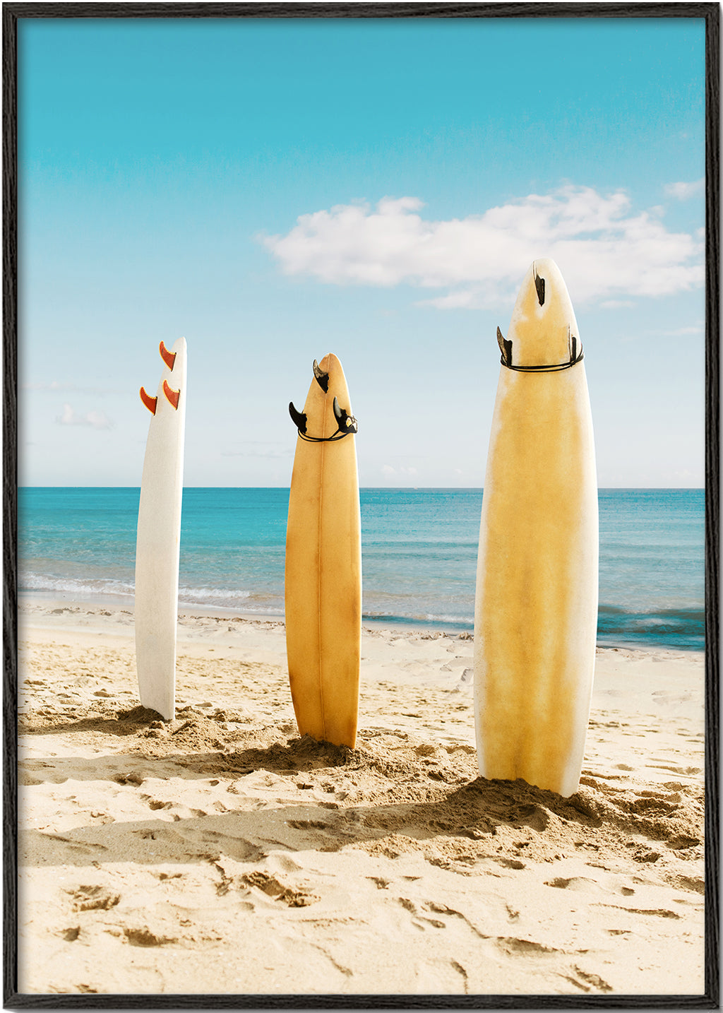 Lisslune | Malibu Surfboard