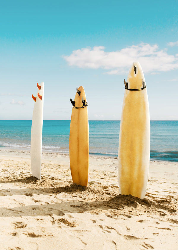 Lisslune | Malibu Surfboard