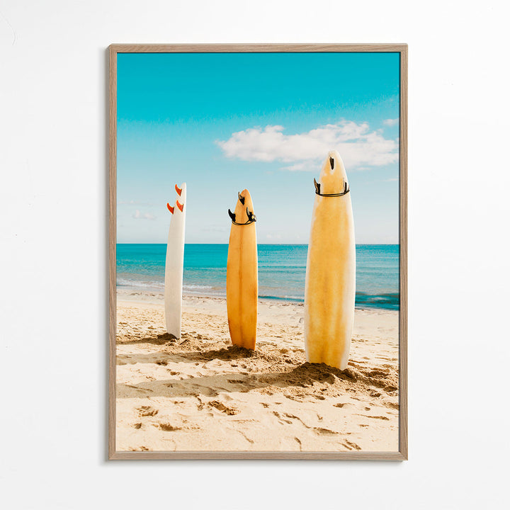 Lisslune | Malibu Surfboard