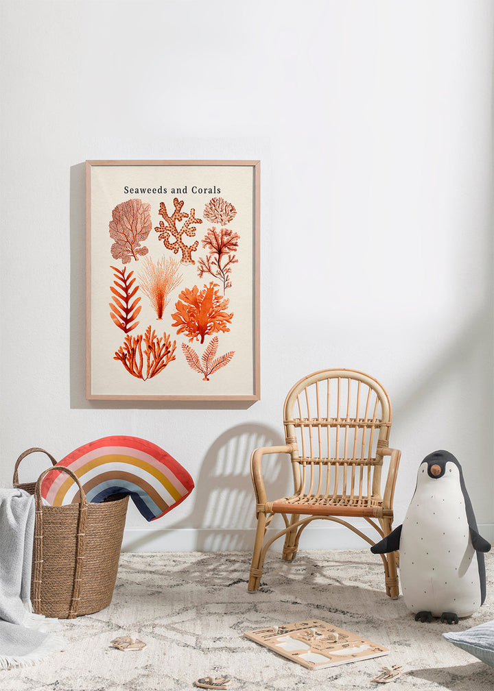 Lisslune | Tang & Coral Collection