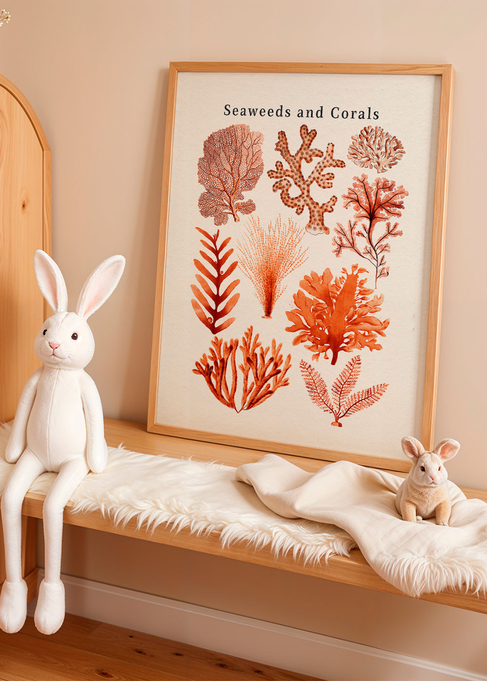 Lisslune | Tang & Coral Collection