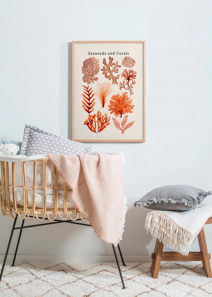 Lisslune | Tang & Coral Collection