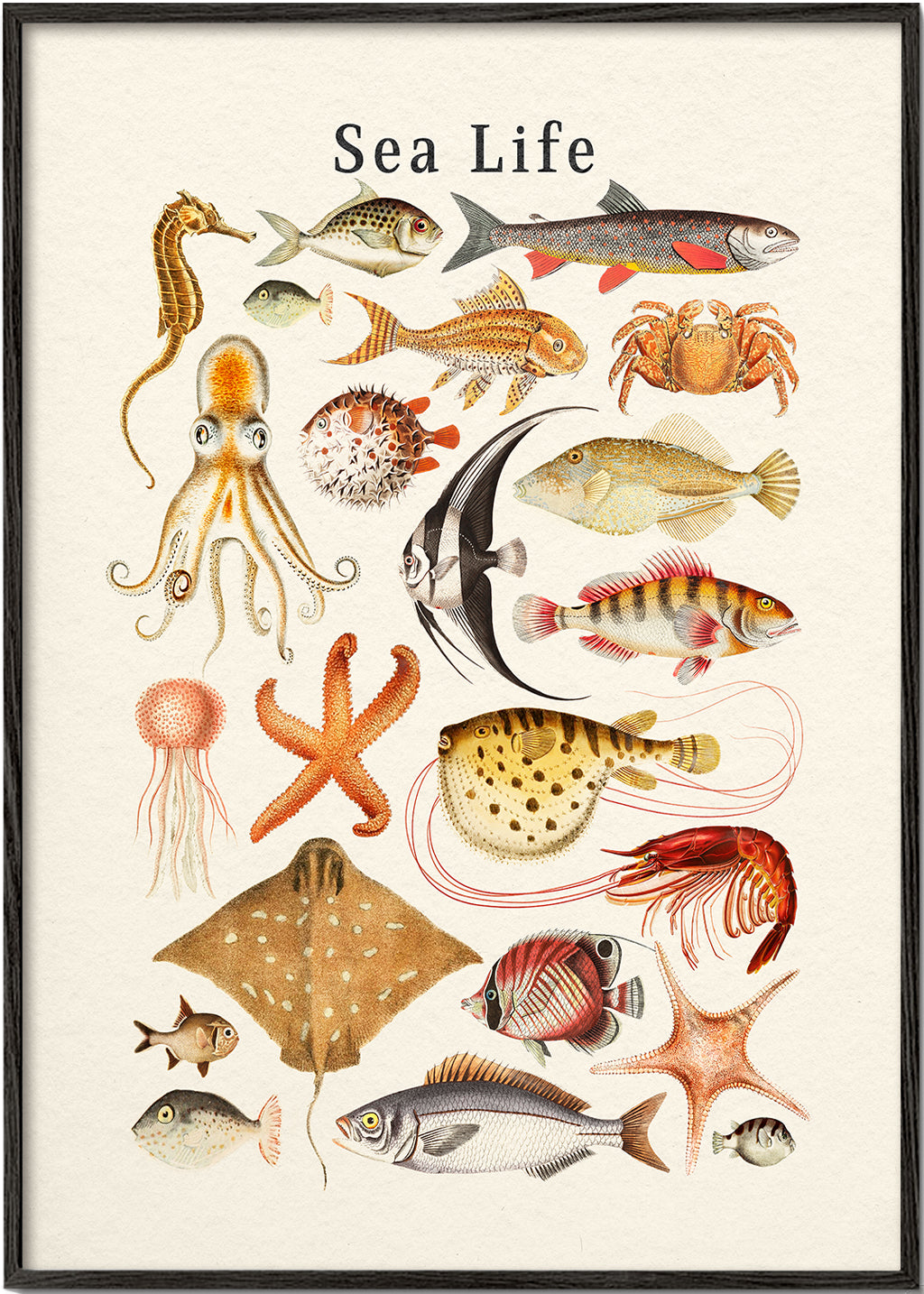 Lisslune | Sea Life Collection