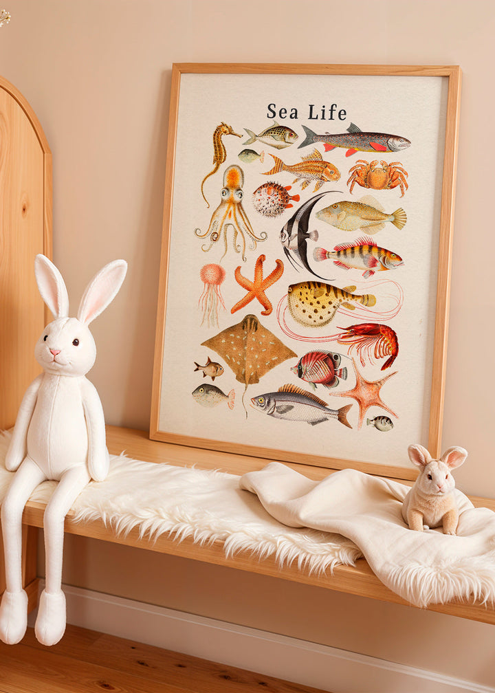 Lisslune | Sea Life Collection